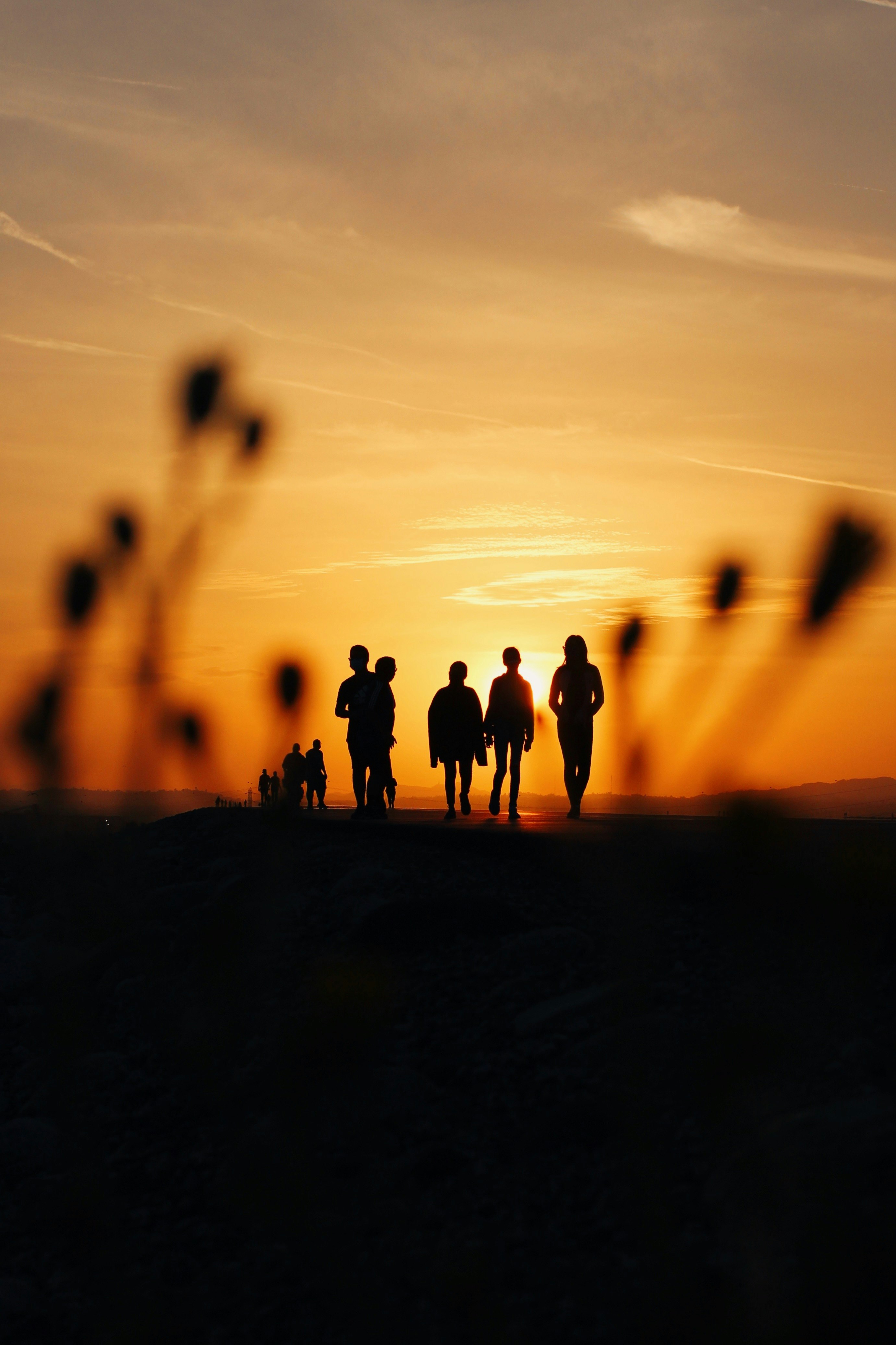 silhouette of people standing on sand during sunset